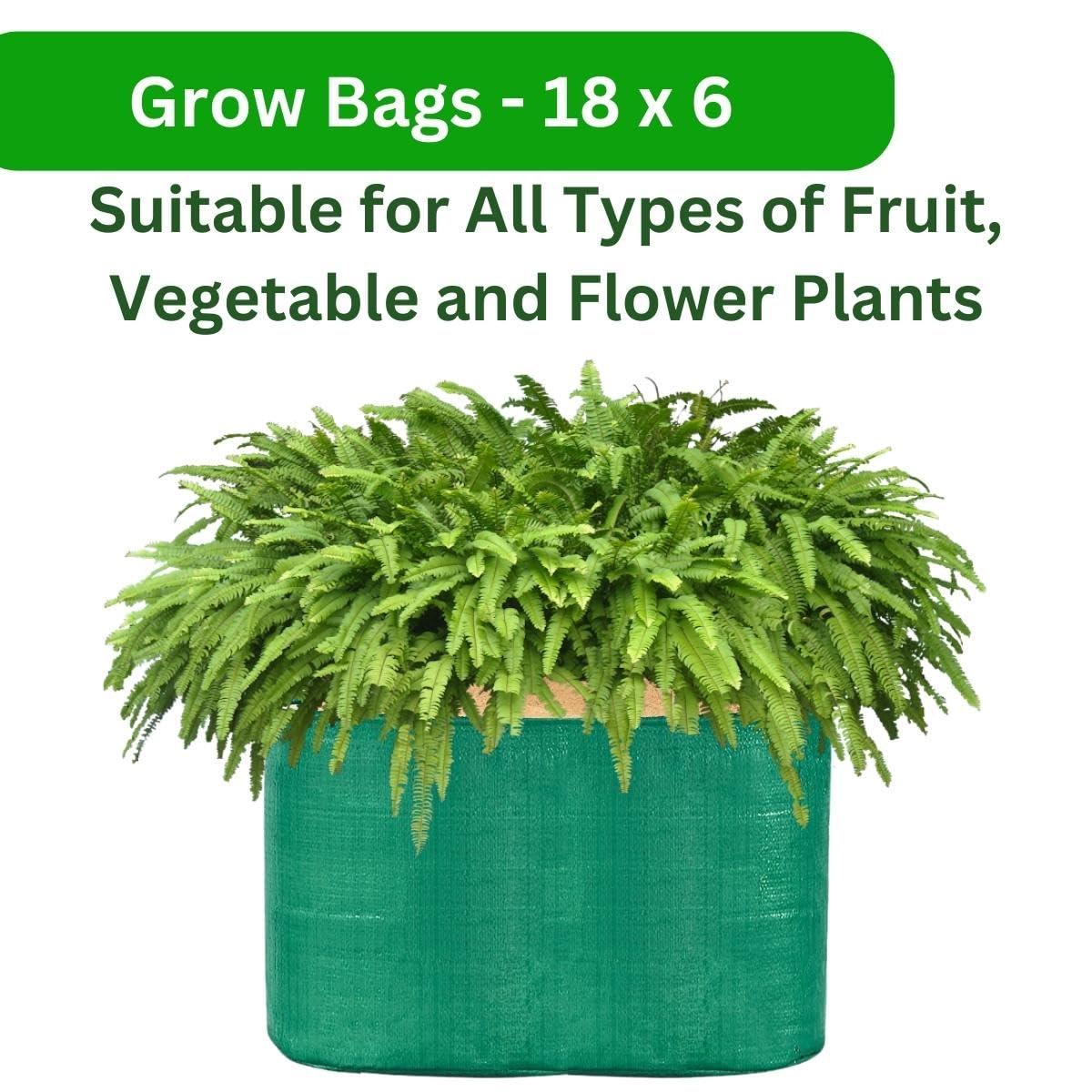 18x6 Inch Plant Grow Bags, Pack of 20—HDPE, UV-Protected, Round, Green. Perfect for Terrace and Vegetable Gardening, Durable and Versatile. - Singhal Mart