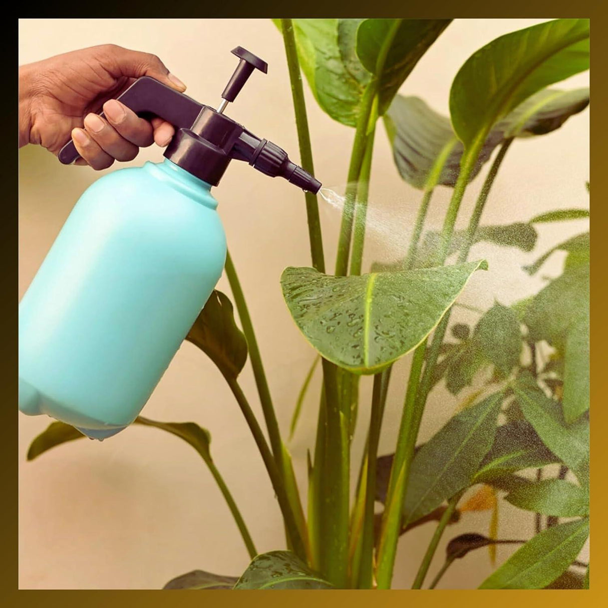 2L Pressure Spray Pump - Set of 2 for Home Garden | Ideal for Plants, Lawn, & Gardening | Water Pump Sprayer Bottles - Singhal Mart