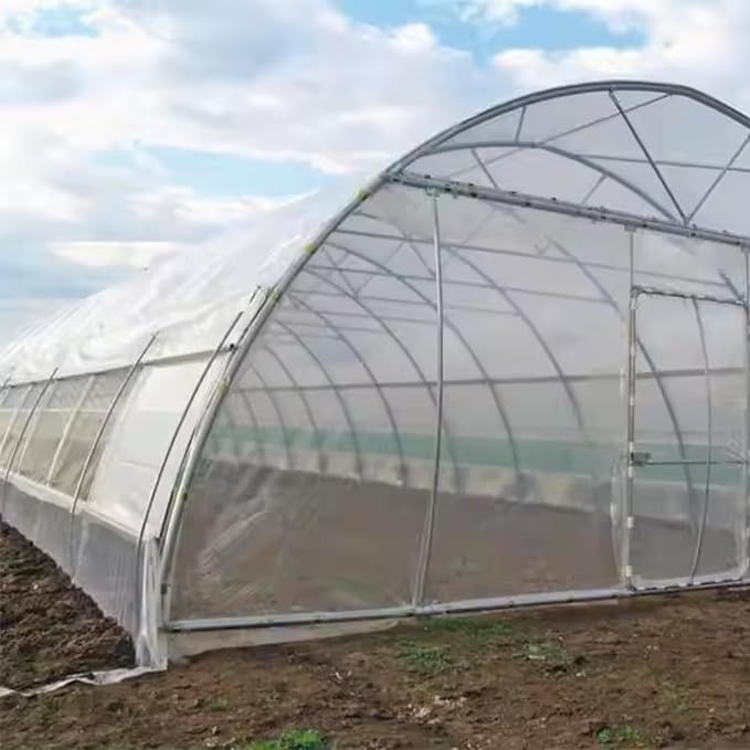 Singhal Greenhouse Poly House Sheet, 200 GSM Transparent Plastic , UV Treated, Dust-Proof, Waterproof, Heavy Duty for Greenhouse Protection