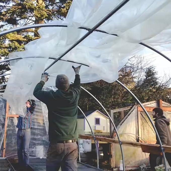 Singhal Greenhouse Poly House Sheet, 200 GSM Transparent Plastic , UV Treated, Dust-Proof, Waterproof, Heavy Duty for Greenhouse Protection