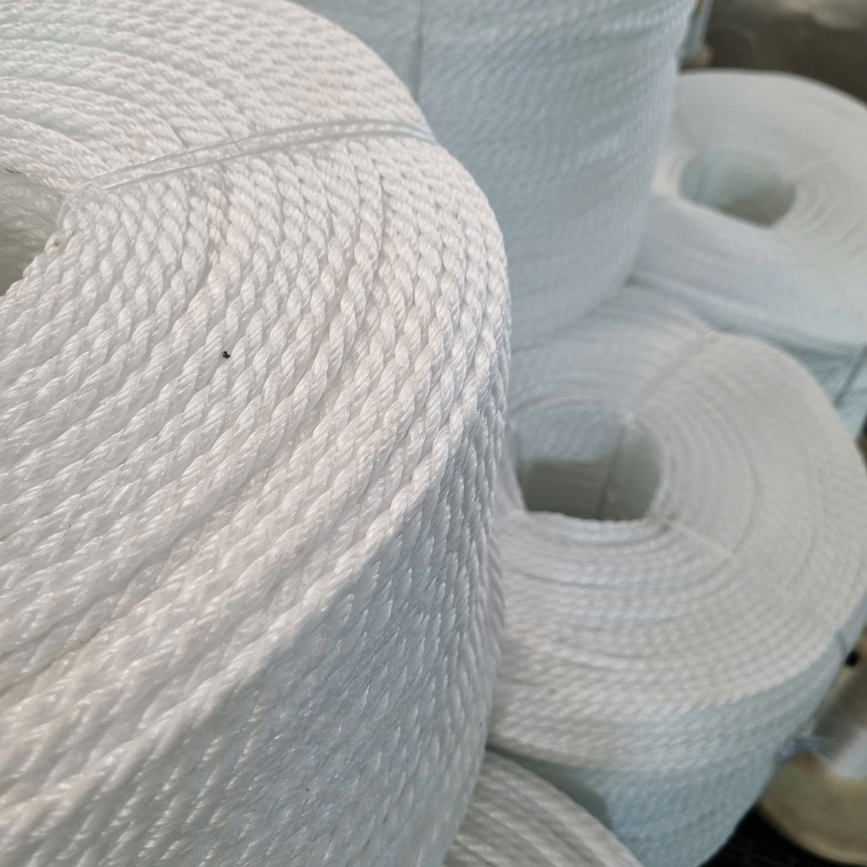 Singhal PP Plastic Twisted White Rope 4mm & 6mm - 10m to 200m | Strong & Multipurpose | Household, Agriculture & Packaging | Clothesline, Agriculture & Utility Rope