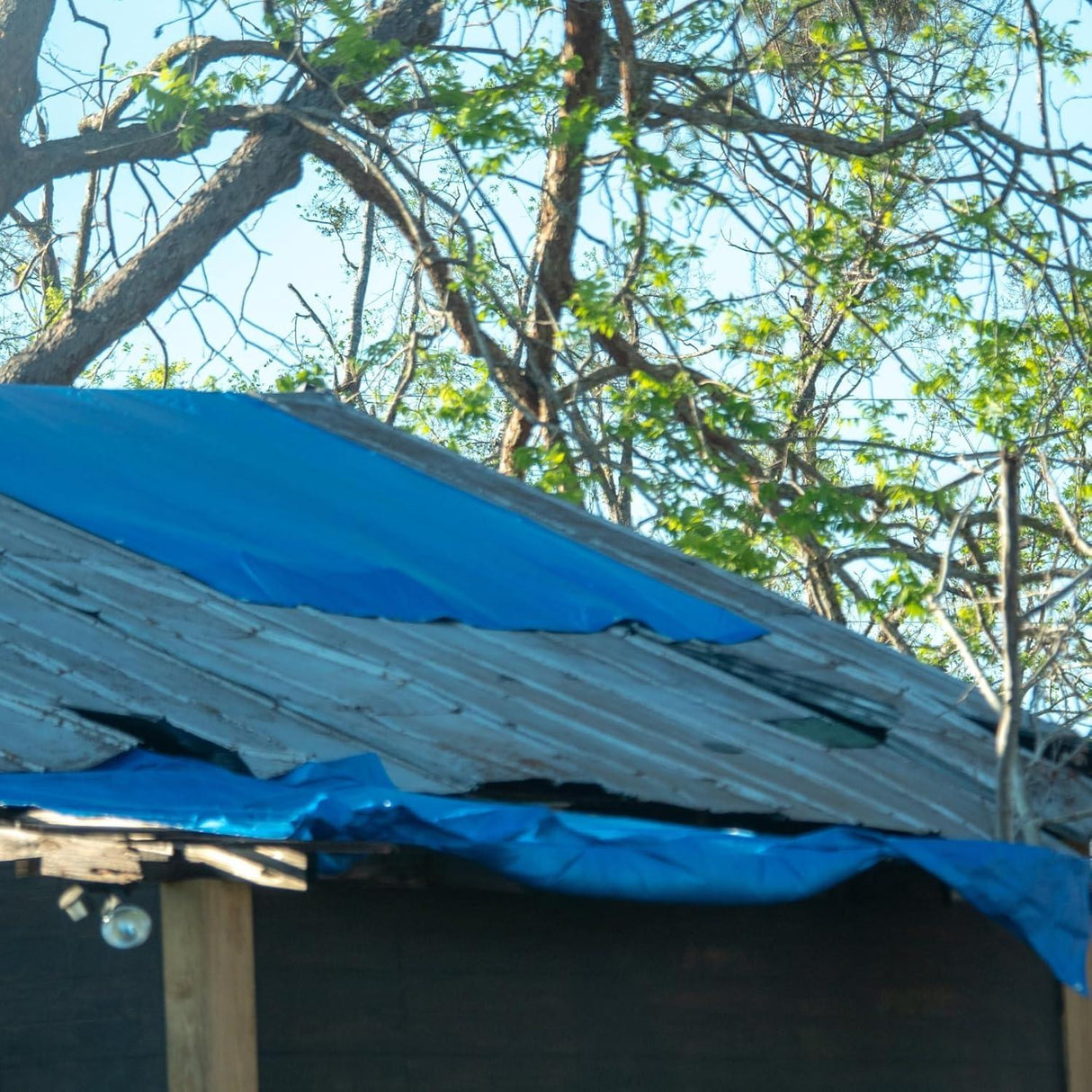 6x6ft 170 GSM Tarpaulin Sheet, Waterproof HDPE, UV Treated, Heavy Duty Blue Cover with Strong Aluminum Eyelets at Every Corner for Multipurpose Use - Singhal Mart