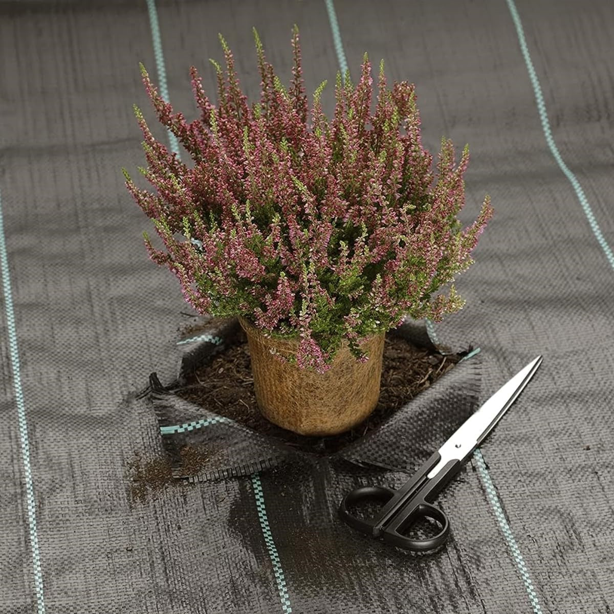 Premium Garden Weed Control Mat Fabric 3 width, Landscape Fabric for Effective Weed Blocking in Gardening (Black)