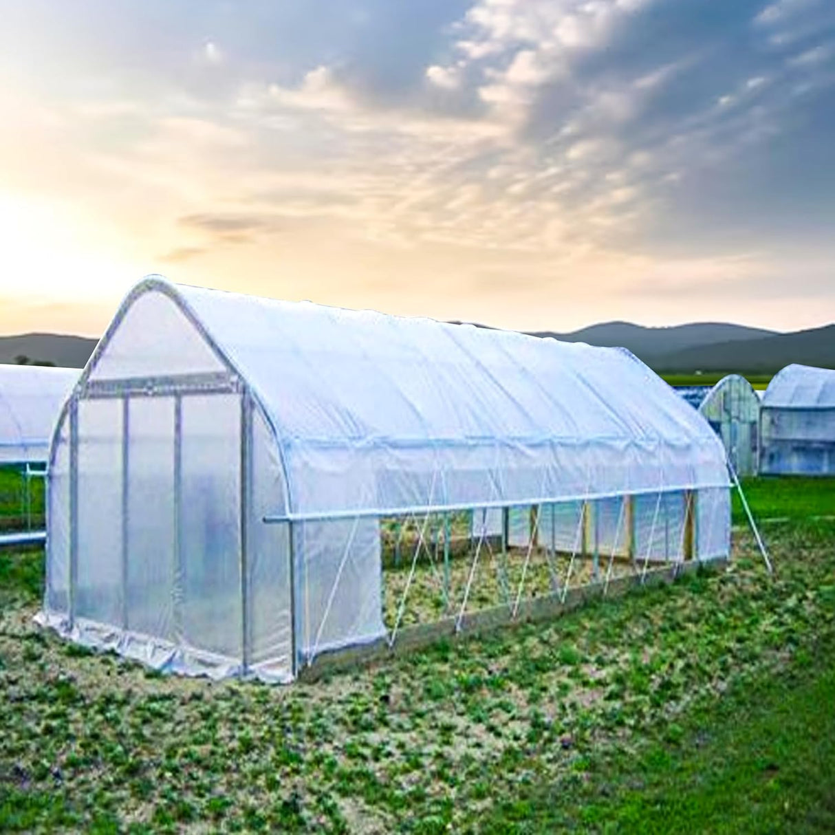 Singhal Greenhouse Poly House Sheet, 200 GSM Transparent Plastic , UV Treated, Dust-Proof, Waterproof, Heavy Duty for Greenhouse Protection
