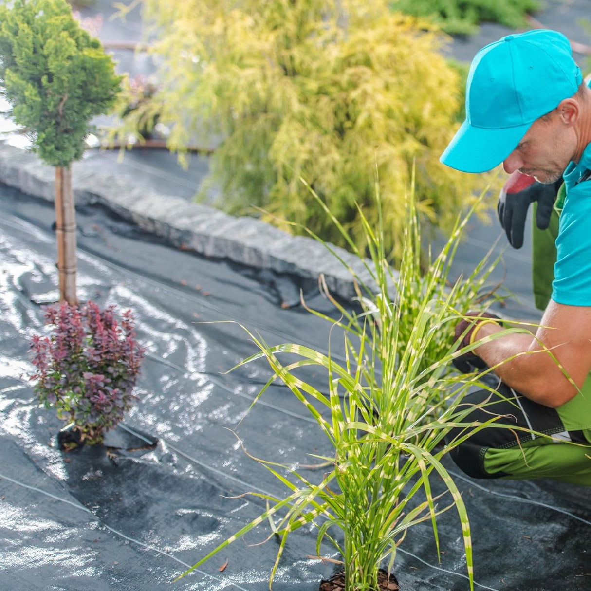Premium Garden Weed Control Mat Fabric 3 width, Landscape Fabric for Effective Weed Blocking in Gardening (Black)