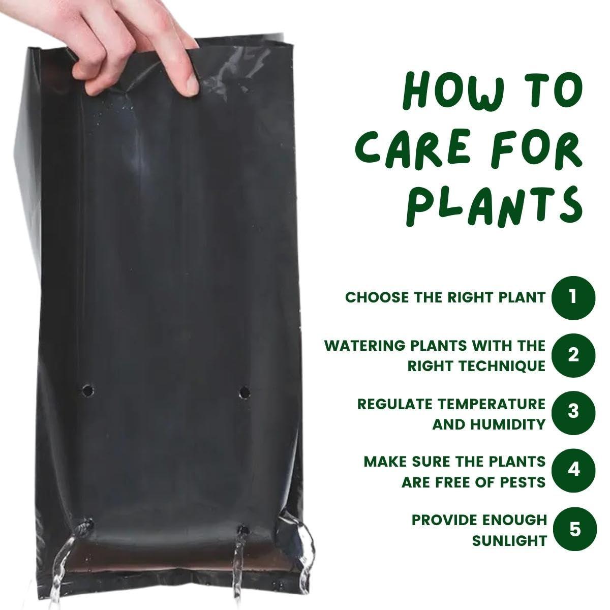 8x10 Inch Nursery Bags - HDPE UV-Resistant Black Polyethylene Grow Bags | Perfect for Home Gardens & Nurseries | Combo Pack of 30 - Singhal Mart