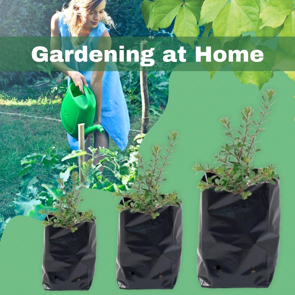 8x10 inch UV-resistant black nursery bags for garden and home use. Durable HDPE polyethylene grow bags for plants and seedlings. Pack of 50 - Singhal Mart