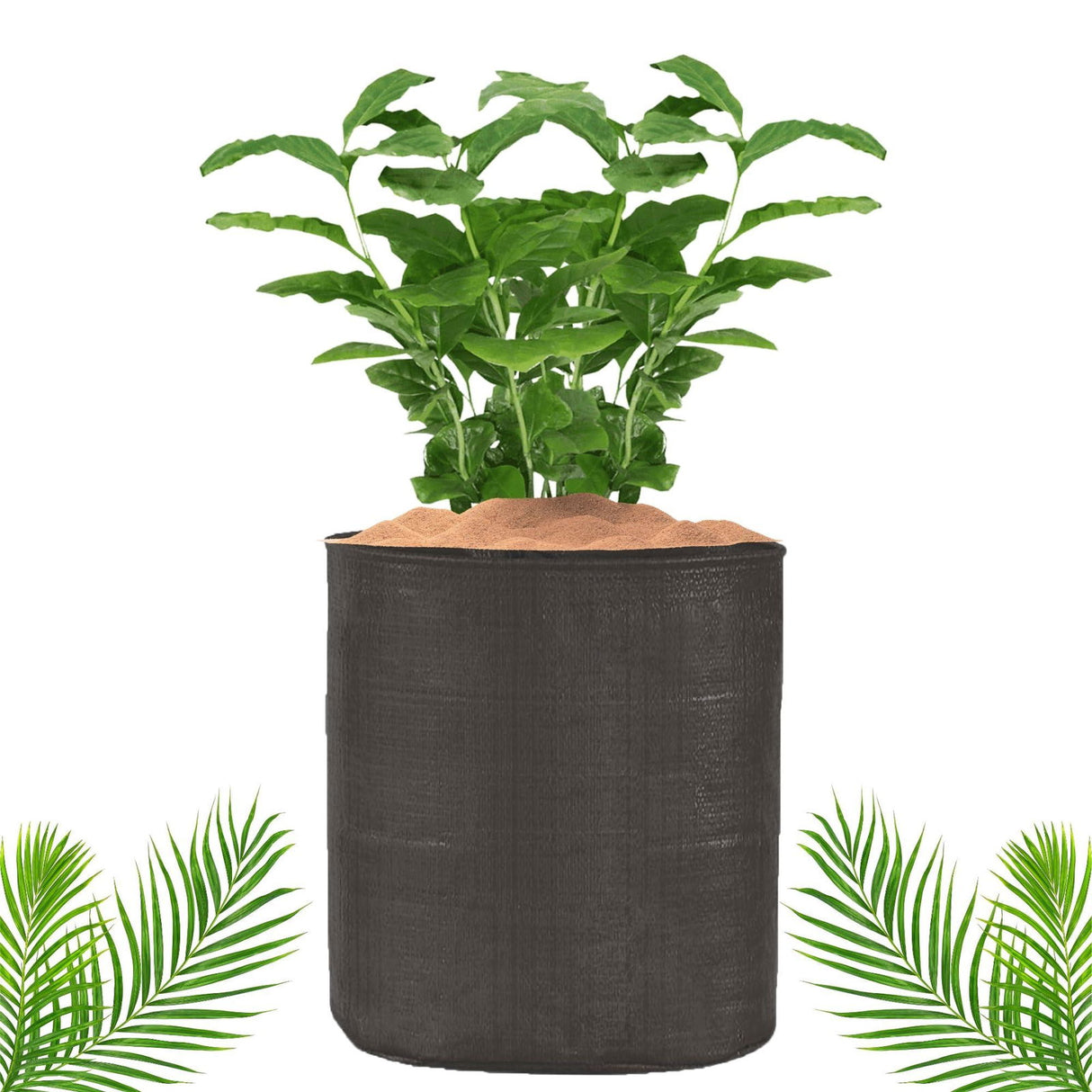 Black Grow Bags Size 9x9  to 24x24 Inch - Singhal Mart