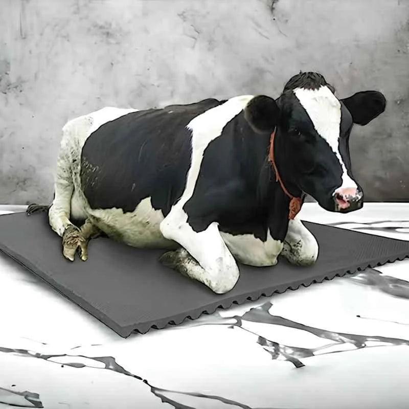 Cow-Mat Animal Feeding Mat, measuring 8 x 5 feet, designed to enhance comfort and efficiency for your livestock feeding needs - Singhal Mart