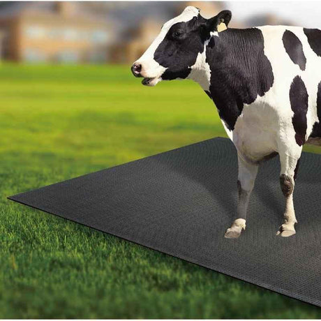 Cow-Mat Animal Feeding Mat, measuring 8 x 5 feet, designed to enhance comfort and efficiency for your livestock feeding needs - Singhal Mart