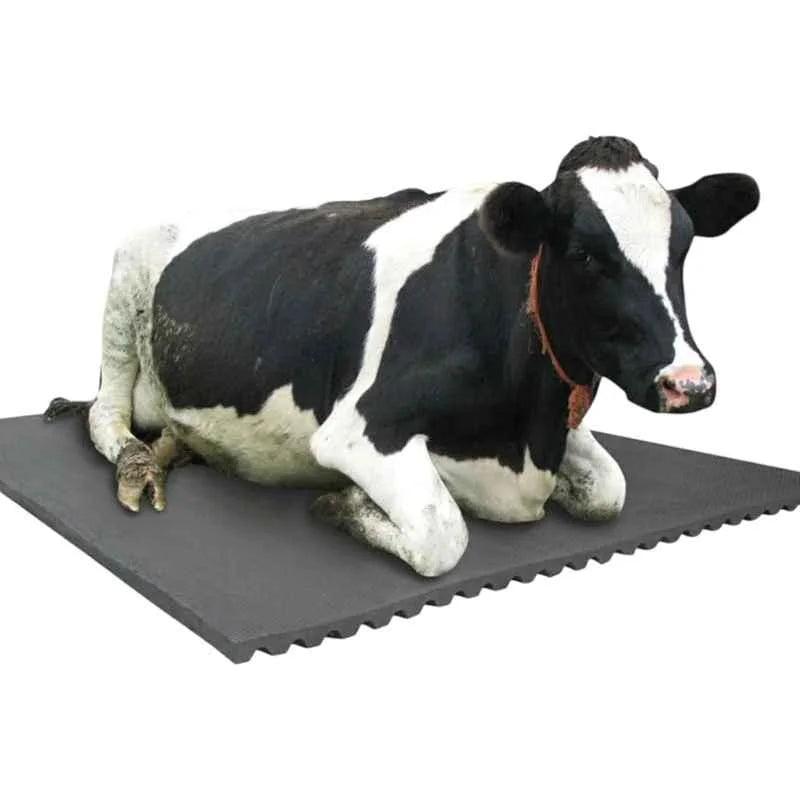 Cow-Mat Animal Feeding Mat, measuring 8 x 5 feet, designed to enhance comfort and efficiency for your livestock feeding needs - Singhal Mart