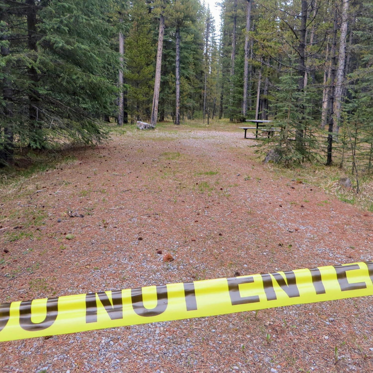 Do Not Enter Barricade Tape - 3 Inches Wide, 300 Meters Long Pack of 3 - Singhal Mart