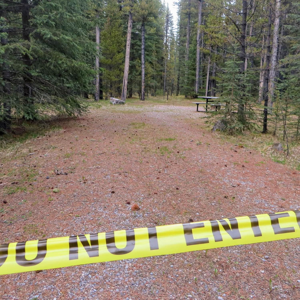 Do Not Enter Barricade Tape: Ensuring Safety with Visibility - Singhal Mart