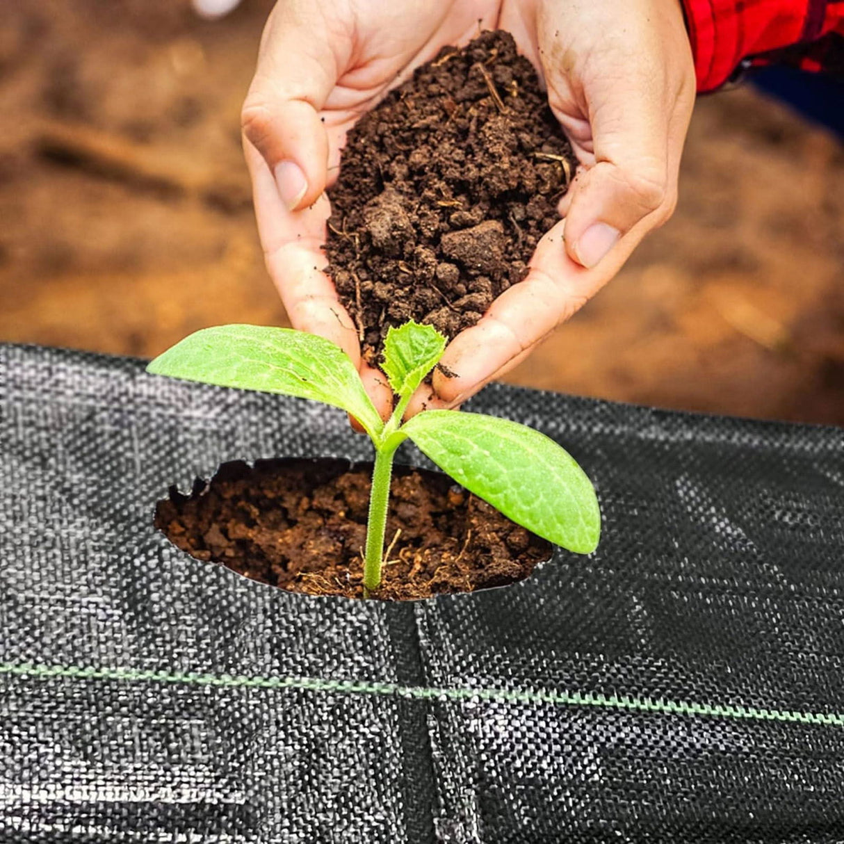 Garden Weed Control Barrier Sheet Mat Landscape - Singhal Mart