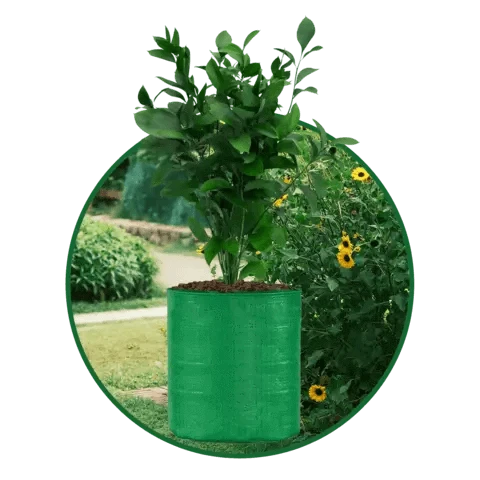 HDPE UV Protected Round Plants Grow Bags, Green Color Ideal for Terrace and Vegetable Gardening - Singhal Mart