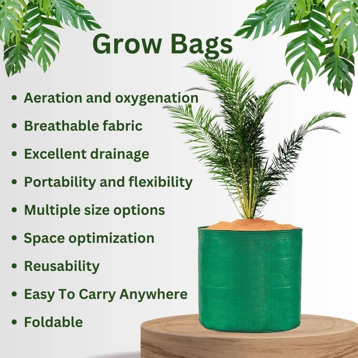 HDPE UV Protected Round Plants Grow Bags, Green Color Ideal for Terrace and Vegetable Gardening - Singhal Mart