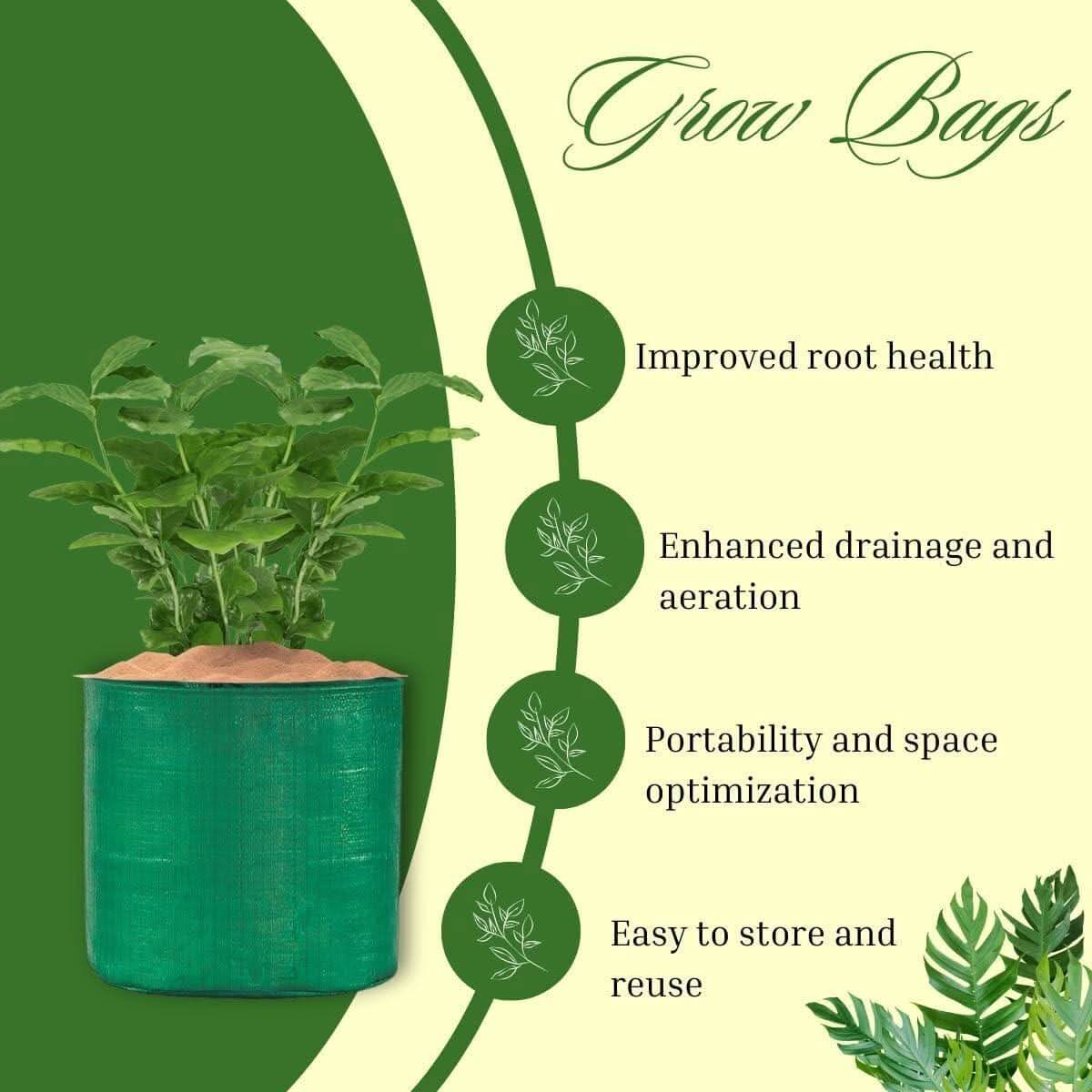 HDPE UV Protected Round Plants Grow Bags, Green Color Ideal for Terrace and Vegetable Gardening - Singhal Mart