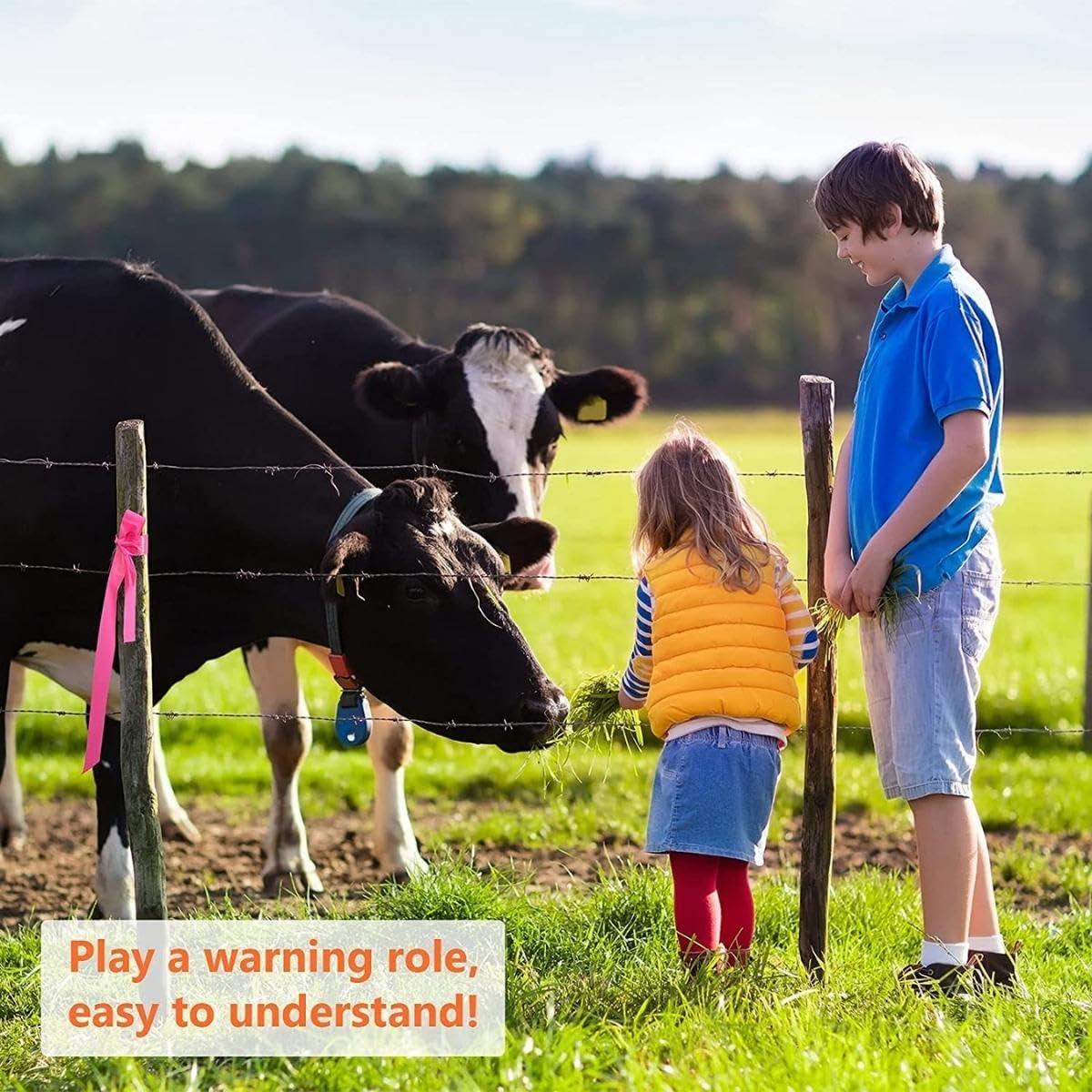 Lime Flagging Tape, 1 Inch Wide, 300 Feet Long | Highly Visible for Marking and Flagging | Combo Pack of 6 Rolls - Singhal Mart