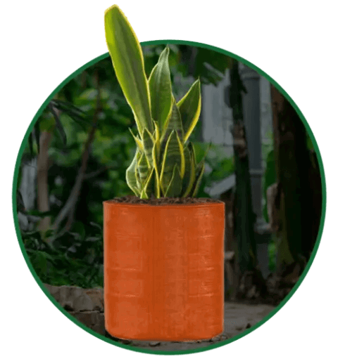 Orange Grow Bags Size 9x9  to 24x24 Inch - Singhal Mart