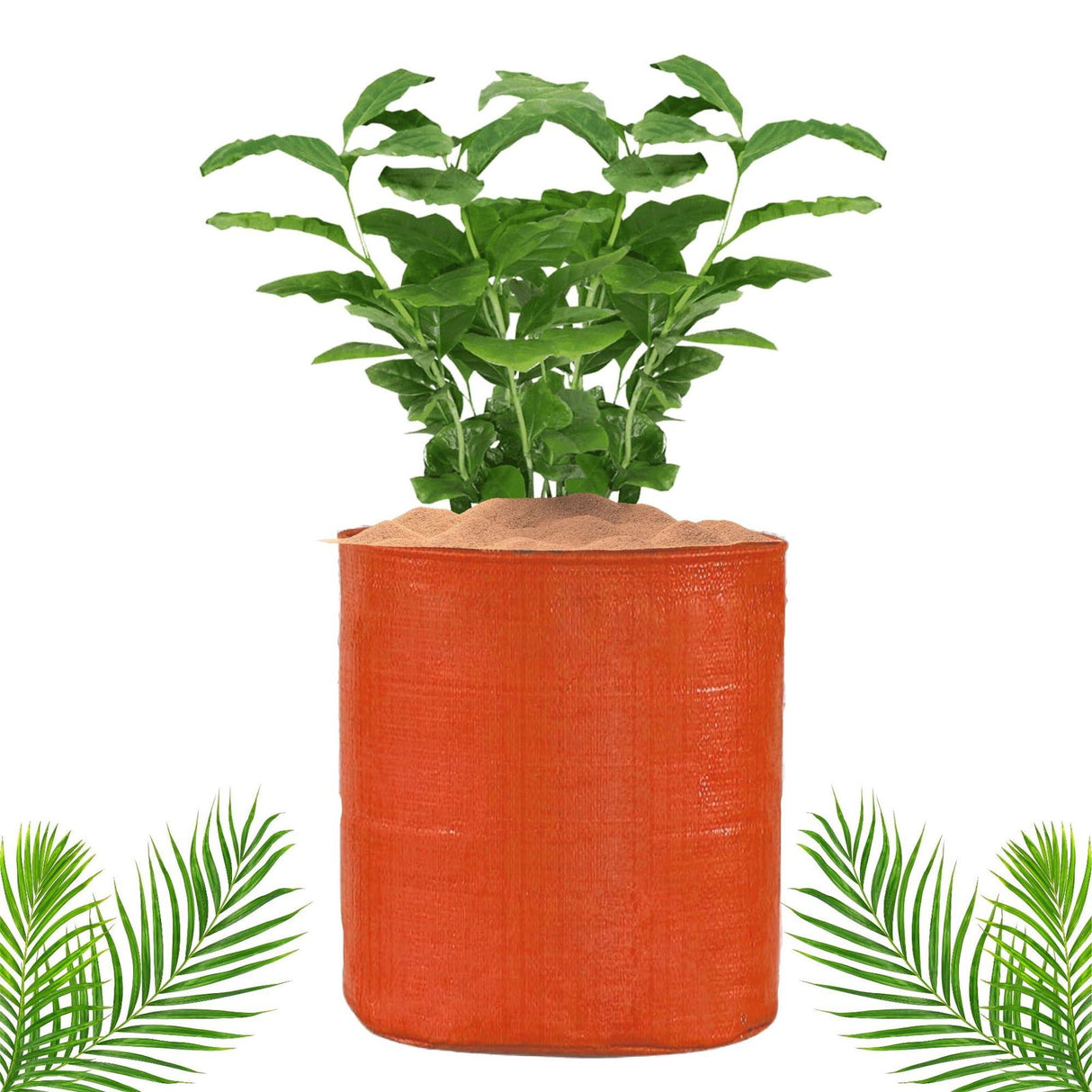 Orange Grow Bags Size 9x9  to 24x24 Inch - Singhal Mart