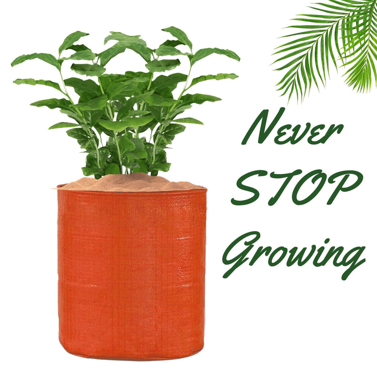 Orange Grow Bags Size 9x9  to 24x24 Inch - Singhal Mart