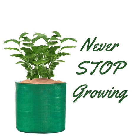 Pack of 20 15x12 Inch HDPE UV-Protected Round Grow Bags – Green Color for Terrace and Vegetable Gardening - Singhal Mart