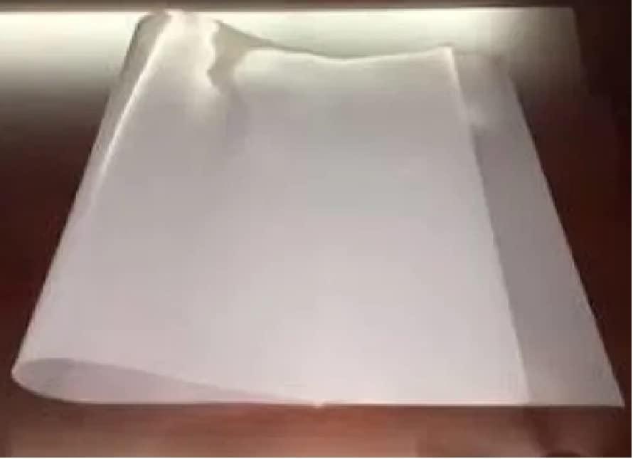 Pack of 20 Large 20x30 Inch 120 Micron Thick Food-Grade Transparent Polyethylene Bags for Bulk Food Packing & Storage | Multi-Use, Durable, Versatile - Singhal Mart