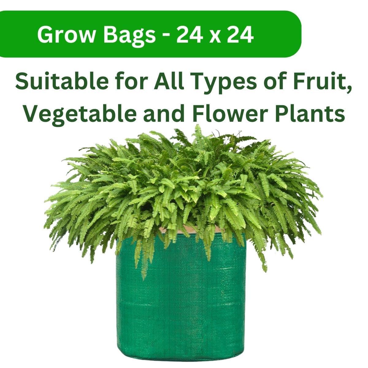 Pack of 5 Green SINGHAL HDPE UV-Protected Round Grow Bags (24x24 Inches) – Ideal for Terrace & Veggie Gardens - Singhal Mart