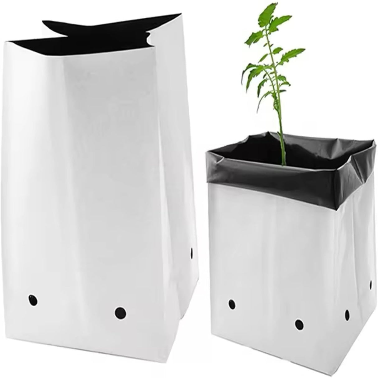 Poly Grow Bags - 100 pcs, 24x24x40 cm, White Outside, Black Inside. Perfect for growing vegetables and flowering plants. Durable and spacious for all needs. - Singhal Mart