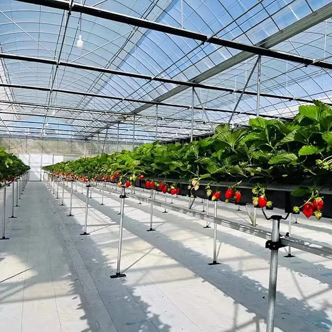 Premium White Weed Control Barrier Mat - 90 GSM Heavy Duty Landscape Fabric for Gardens, Agriculture, and Outdoor Projects (4m x 5m) - Singhal Mart