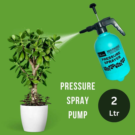 Pressure Spray Pump 2Ltr for Garden Water, Pest and Weed Control - Singhal Mart