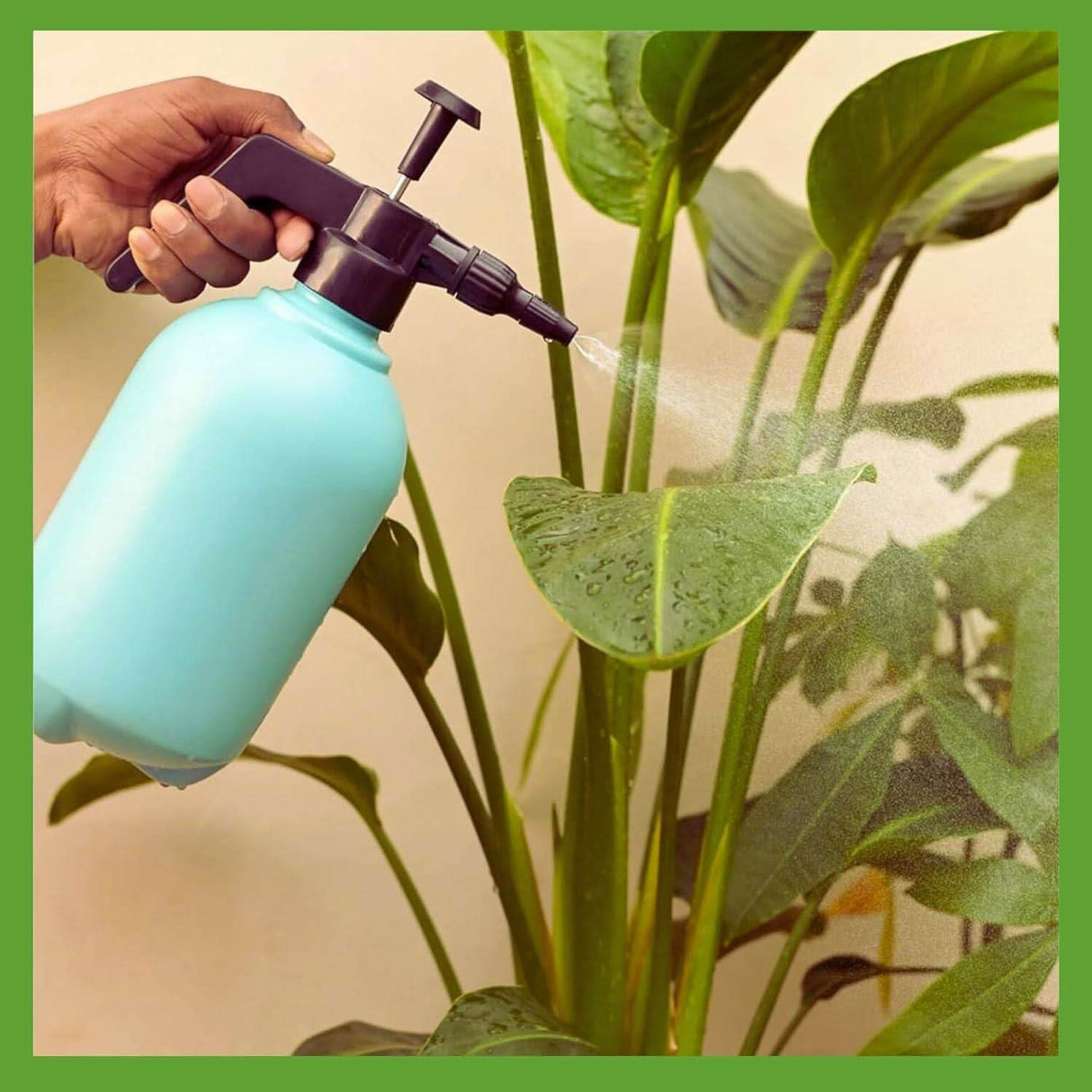 Pressure Spray Pump 2Ltr for Garden Water, Pest and Weed Control - Singhal Mart