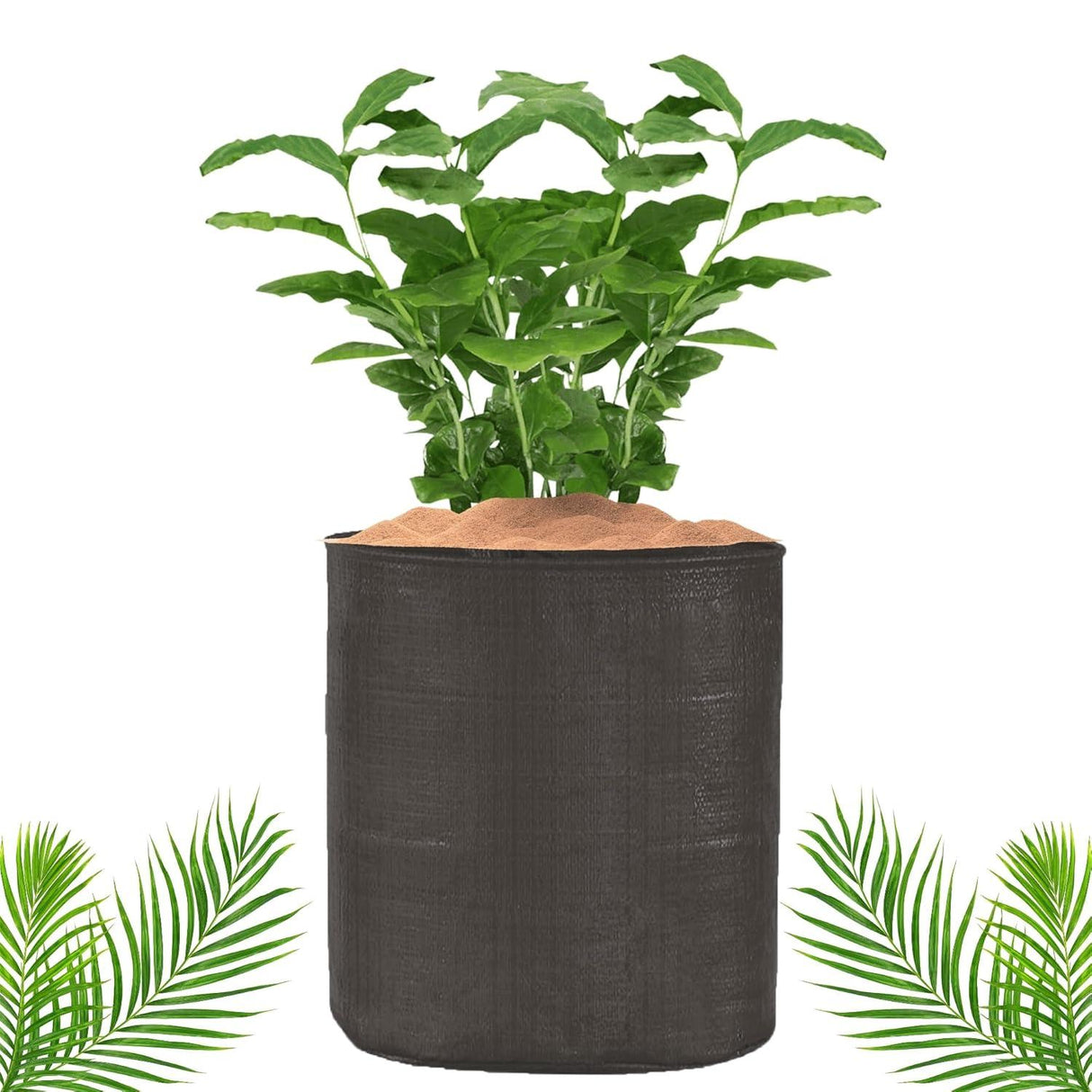 SINGHAL HDPE UV-Resistant Round Grow Bags 24x24 Inch, Black, Pack of 10 – Ideal for Terrace & Veggie Gardens - Singhal Mart