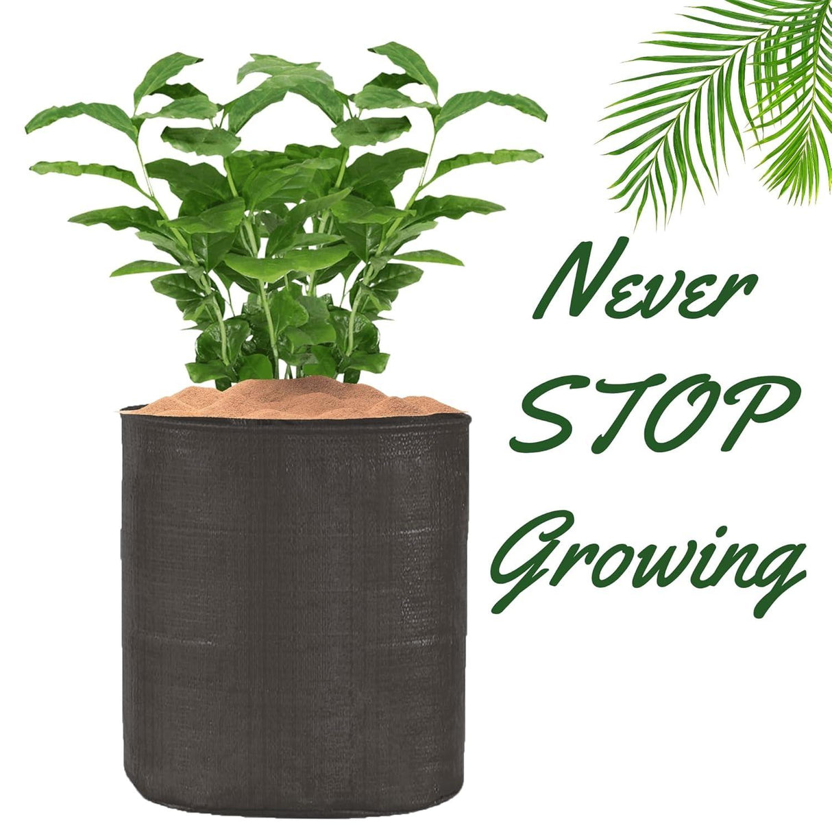 SINGHAL HDPE UV-Resistant Round Grow Bags 24x24 Inch, Black, Pack of 10 – Ideal for Terrace & Veggie Gardens - Singhal Mart