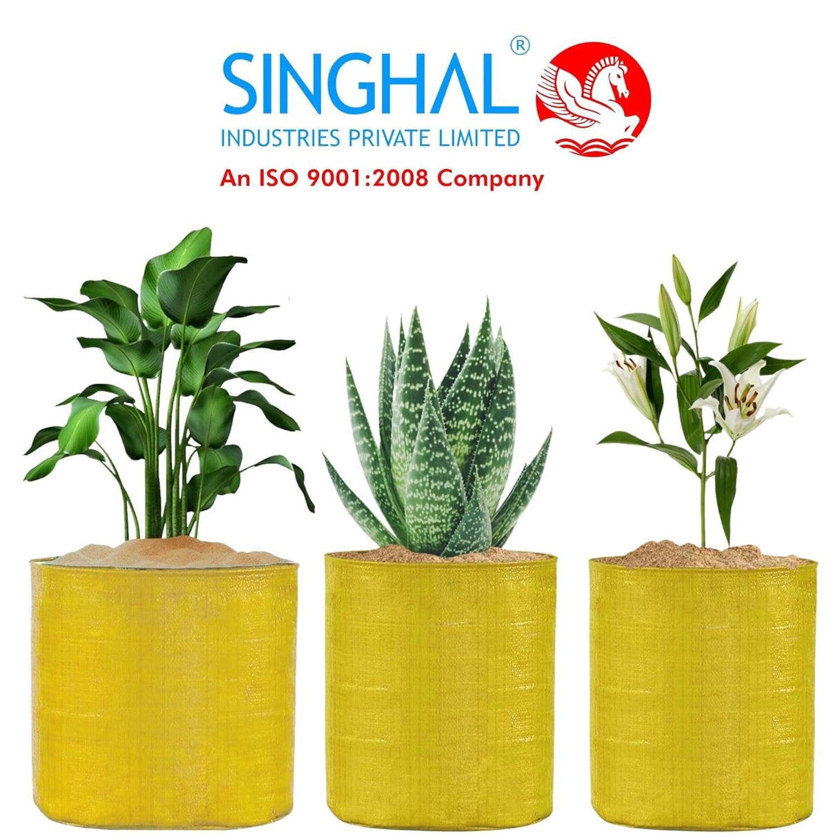 SINGHAL HDPE UV Protected Round Plants Grow Bags 15x12 Inches, Yellow Colour Ideal for Terrace and Vegetable Gardening Pack of 4 - Singhal Mart