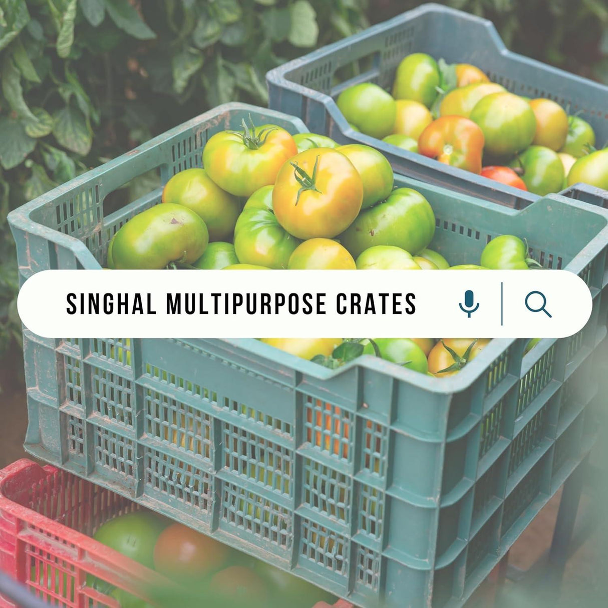 SINGHAL Heavy-Duty Big Blue Portable Plastic Crate 54x36x29 CM | Storage Crate for Vegetables, Fruits, Milk | Combo Pack of 2 | Large Shelf Basket - Singhal Mart