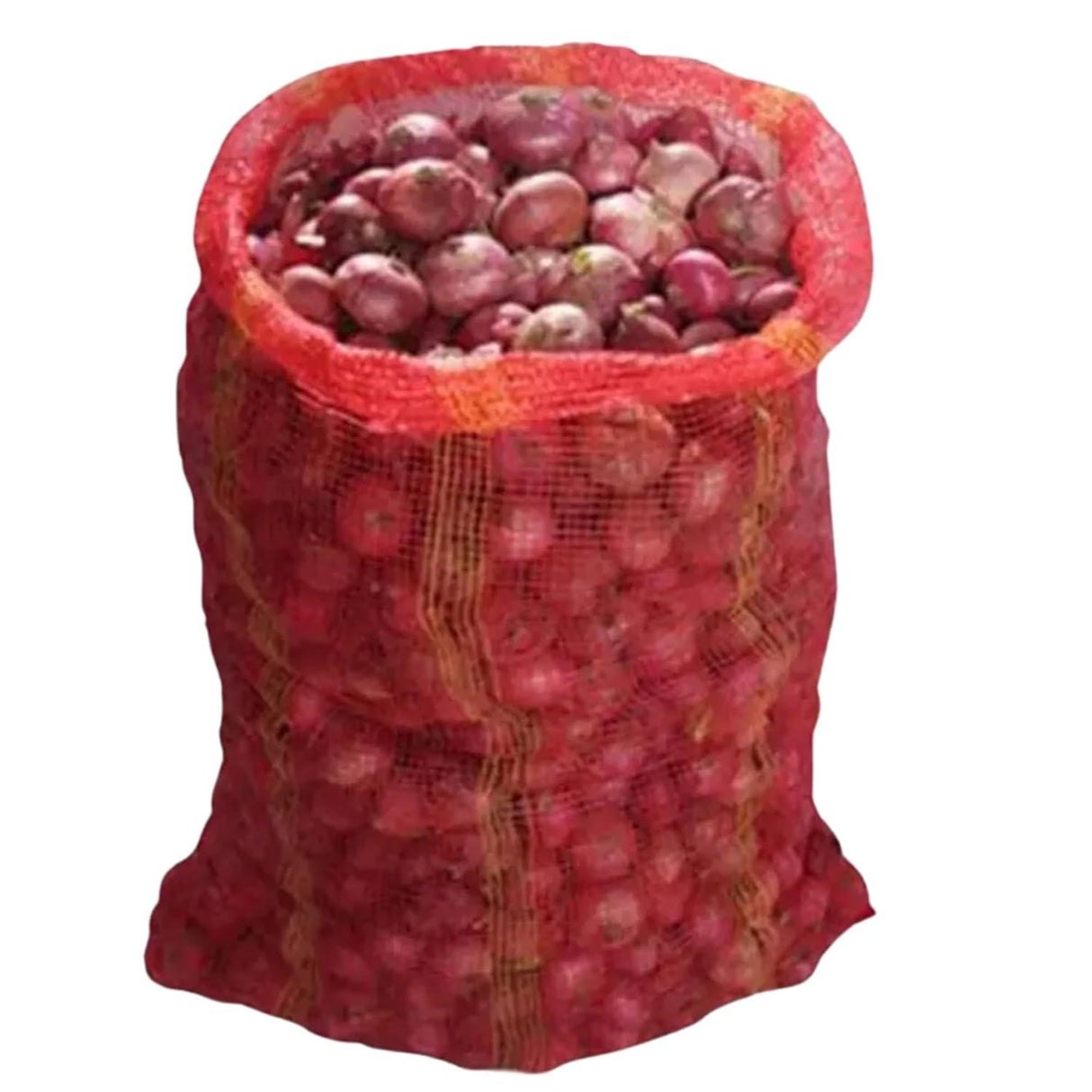 SINGHAL Leno Mesh Produce Bags – Reusable Vegetable and Onion Storage Net Bags, Washable (20x32 Inch, Blue, Pack of 10) - Singhal Mart