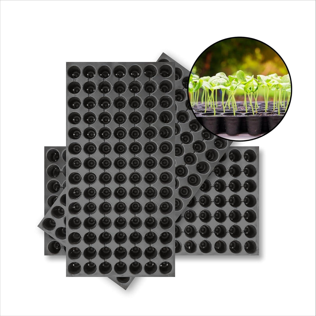 Seedling Tray Pack of 12 – Black 98-Hole Germination Trays for Seedlings, Nursery Plants, Reusable Plastic Trays for Efficient Garden Seeding - Singhal Mart