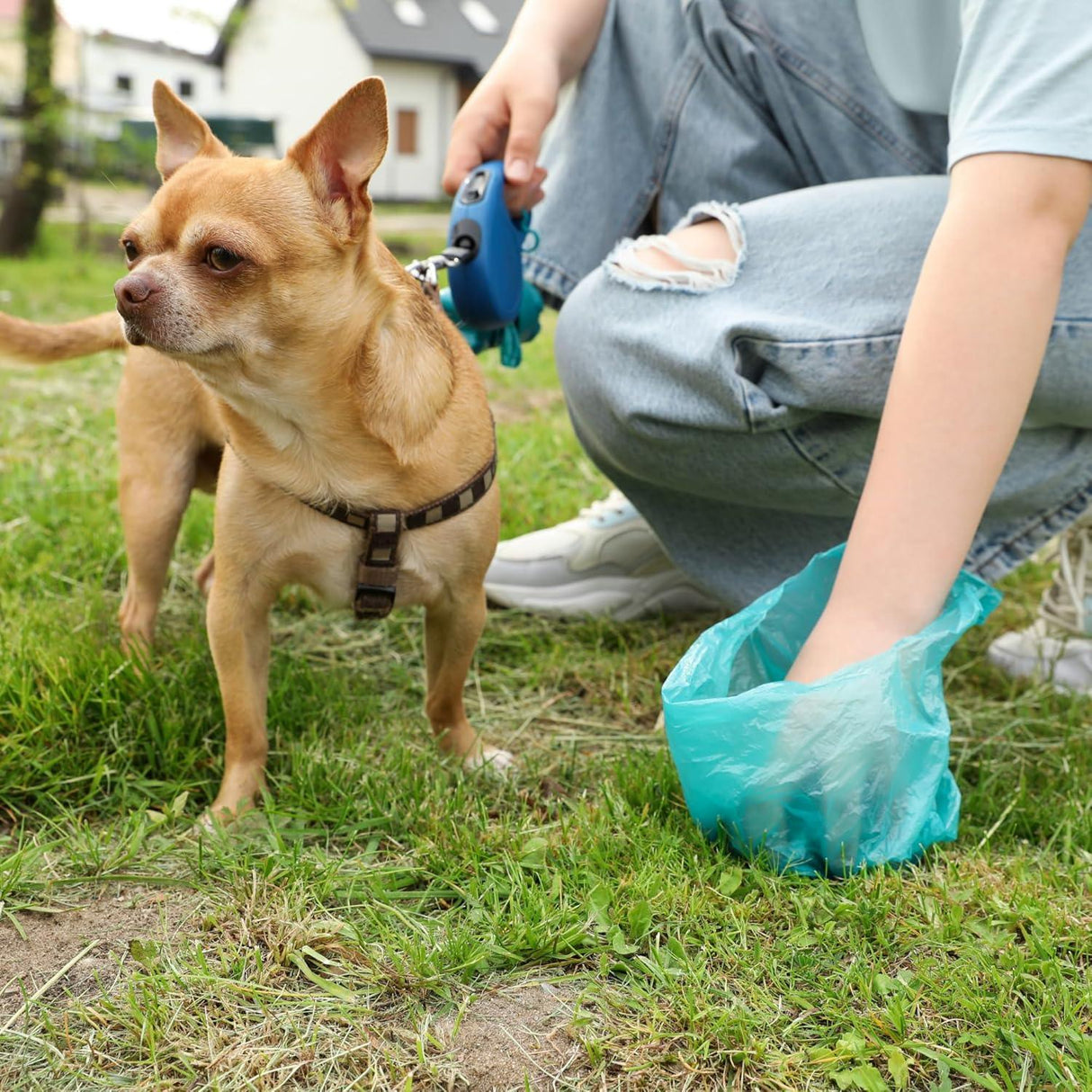 Singhal Dog Poop Bags, Dog Waste Pick Up Biodegradable Garbage Bags, Pooper Bags Large 120 Bags - Singhal Mart