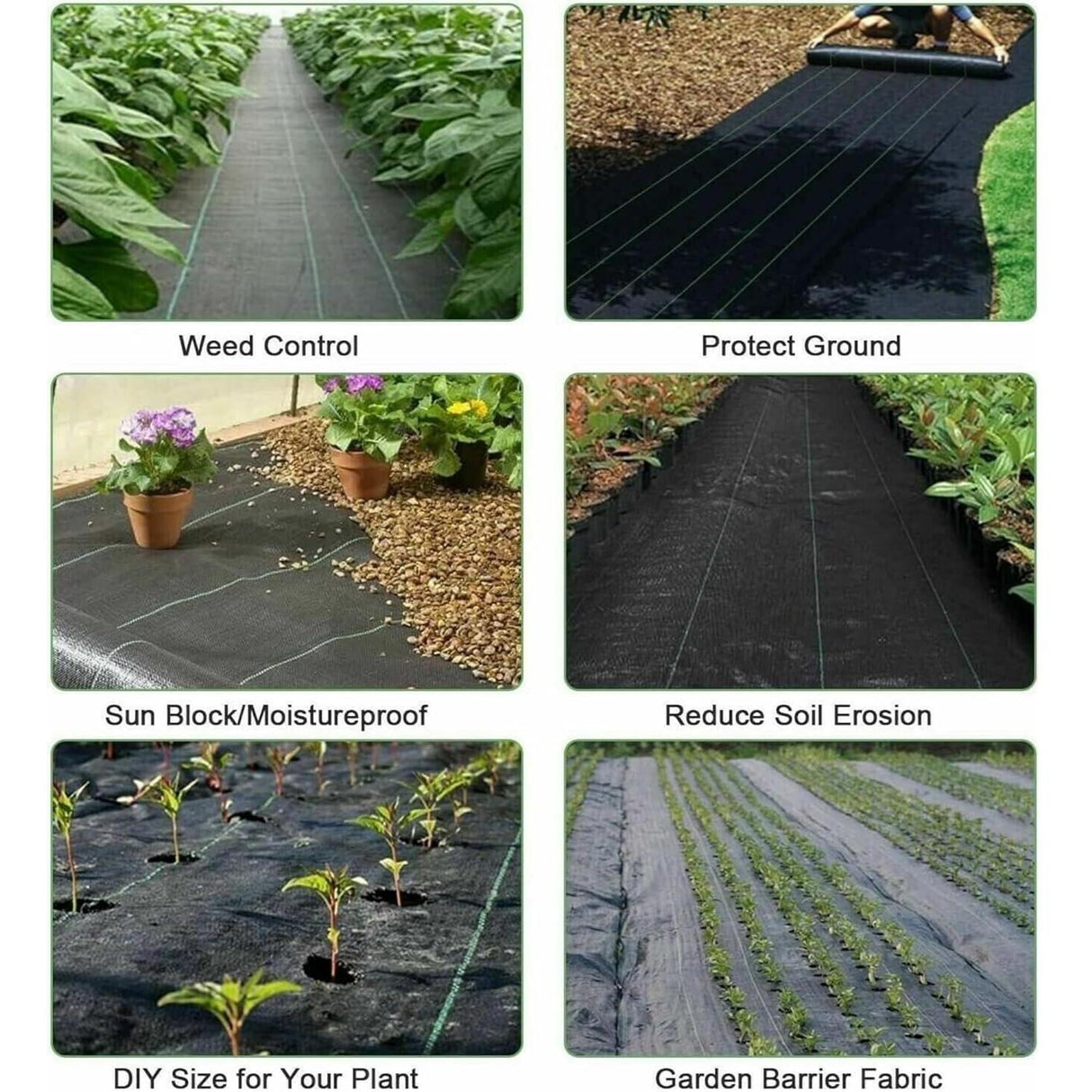 Singhal Garden Heavy Duty Weed Control Mat - 1x1 Meter, 125 GSM Black Landscape Fabric, Eco-Friendly Weed Block for Gardening and Landscaping - Singhal Mart