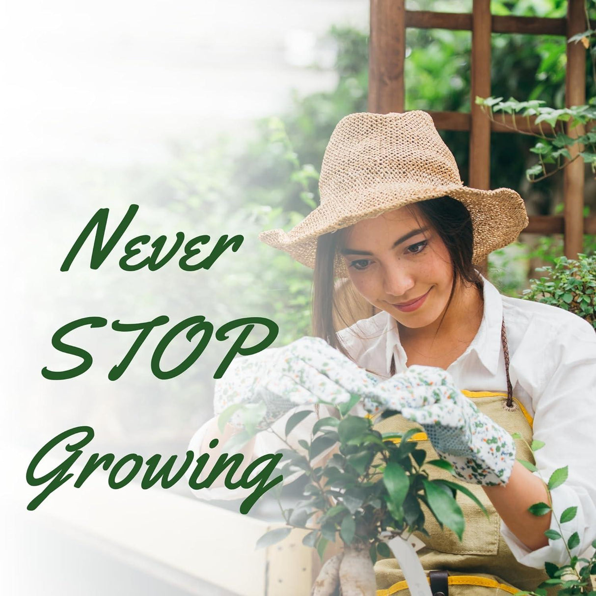 Singhal Garden Weed Control Mat 1x40m, Heavy Duty 125 GSM Landscape Fabric, Eco-Friendly Black Weed Block for Effective Garden Bed Protection - Singhal Mart