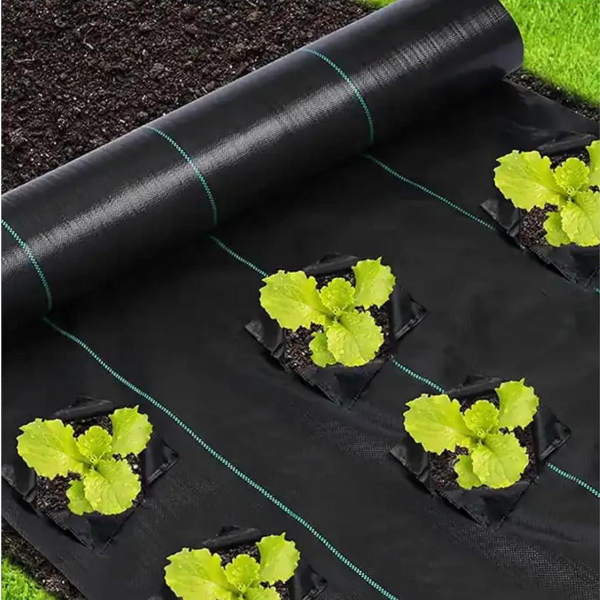 Singhal Garden Weed Control Mat – 2x3m Heavy Duty 125 GSM Black Landscape Fabric, Eco-Friendly Weed Block for Effective Bed Gardening - Singhal Mart