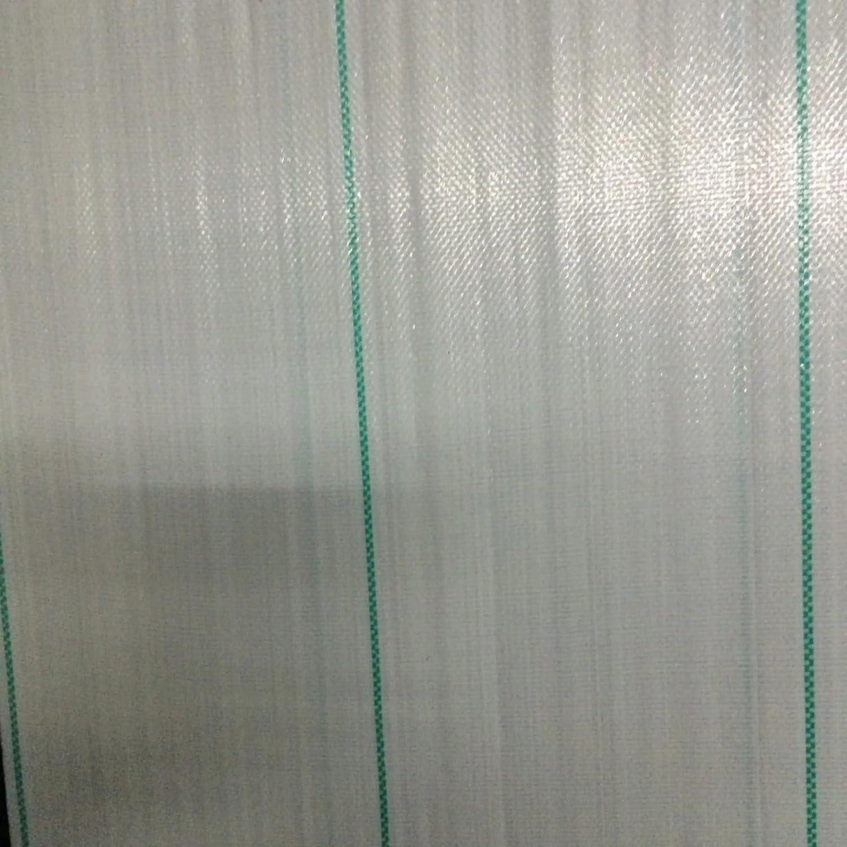 Singhal Garden Weed Control Mat, 4x12m, Heavy Duty 125 GSM Landscape Fabric, Eco-Friendly White Weed Block for Gardening and Landscaping - Singhal Mart