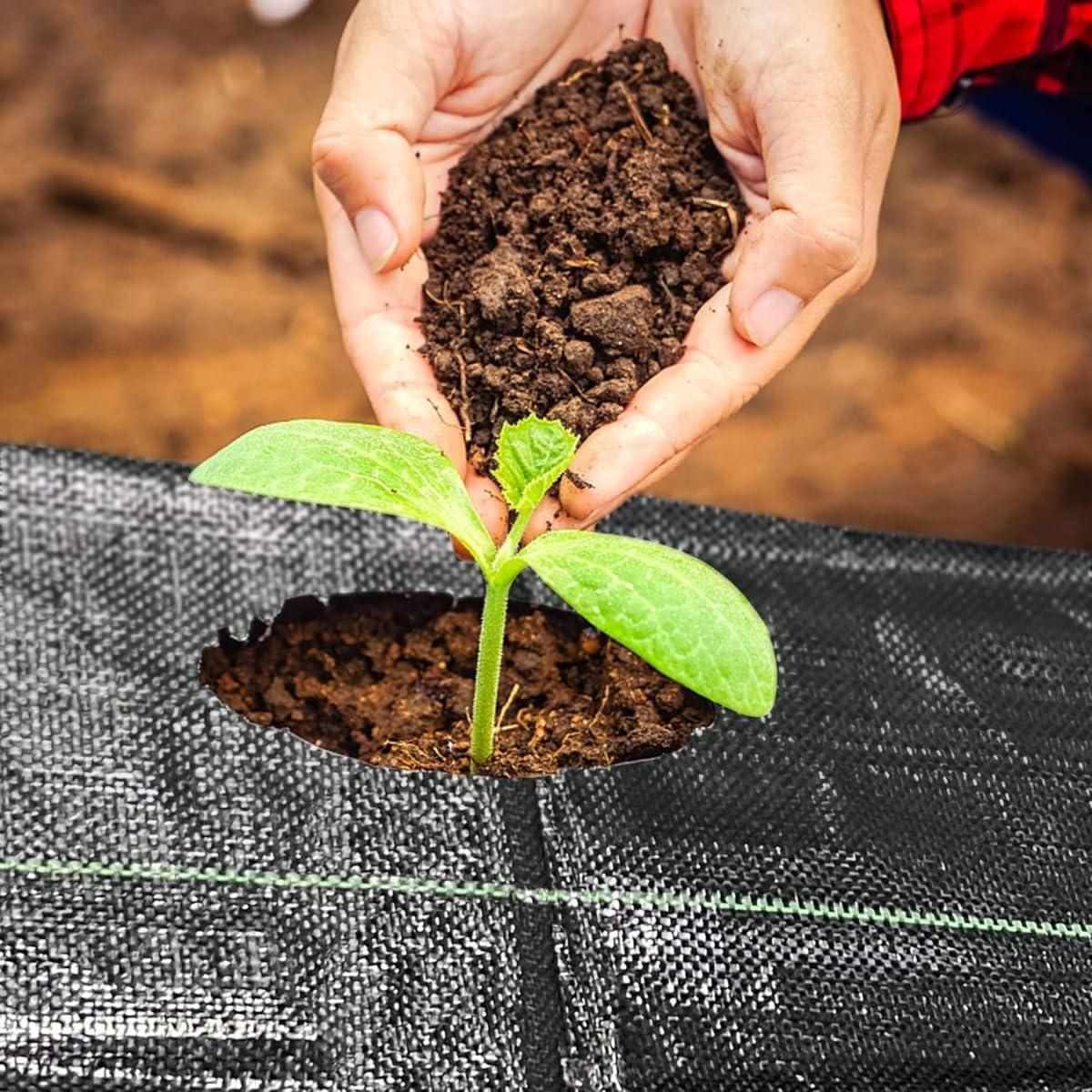 Singhal Premium Garden Weed Control Barrier Sheet Mat, 2x100m, 110 GSM Heavy Duty Landscape Fabric for Gardening, Agriculture, & Outdoor Projects (Black) - Singhal Mart