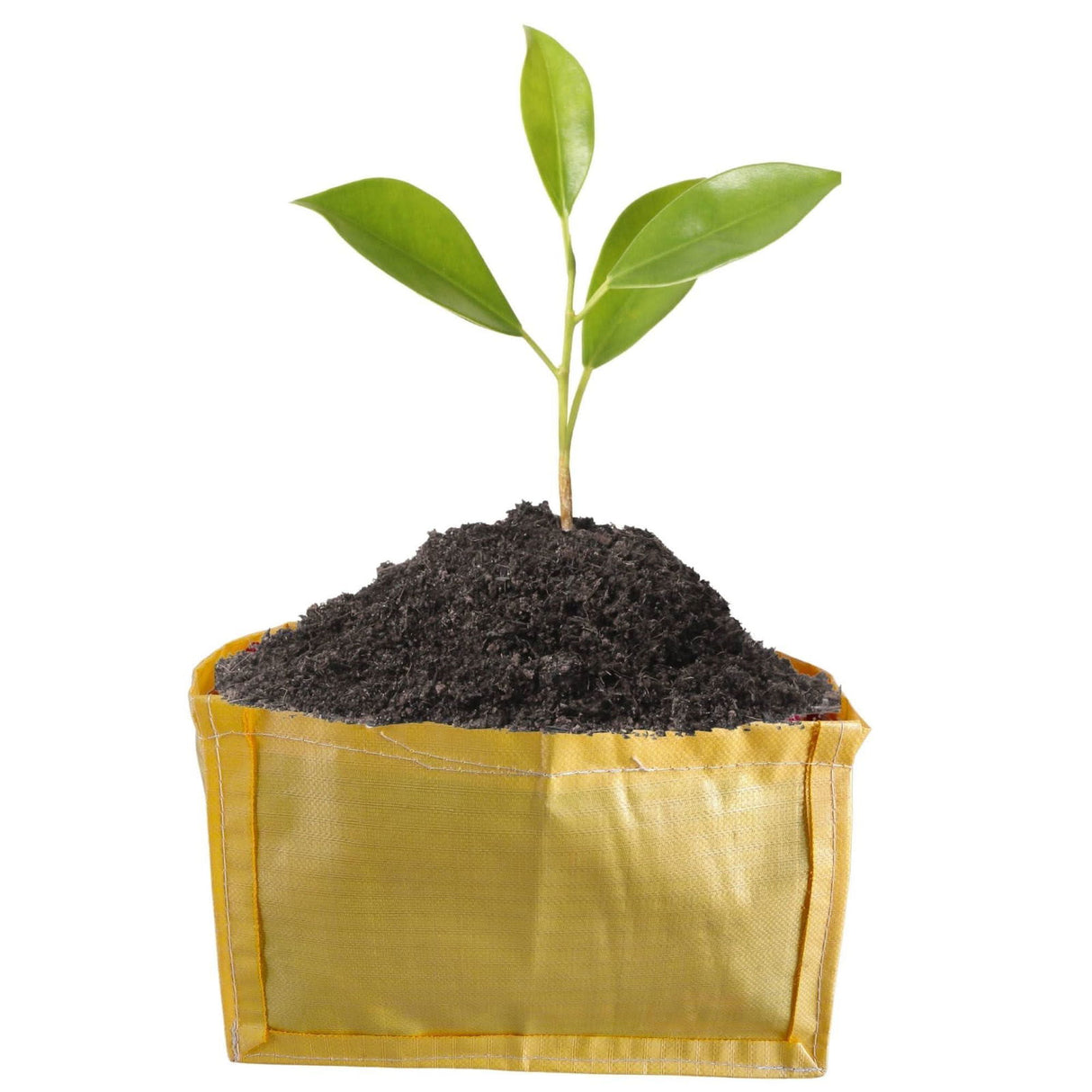 Yellow Grow Bag Rectangle 18x12x12 inch - Singhal Mart