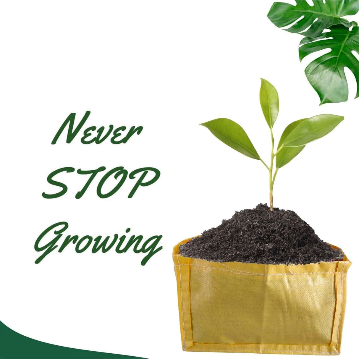 Yellow Grow Bag Rectangle 18x12x12 inch - Singhal Mart