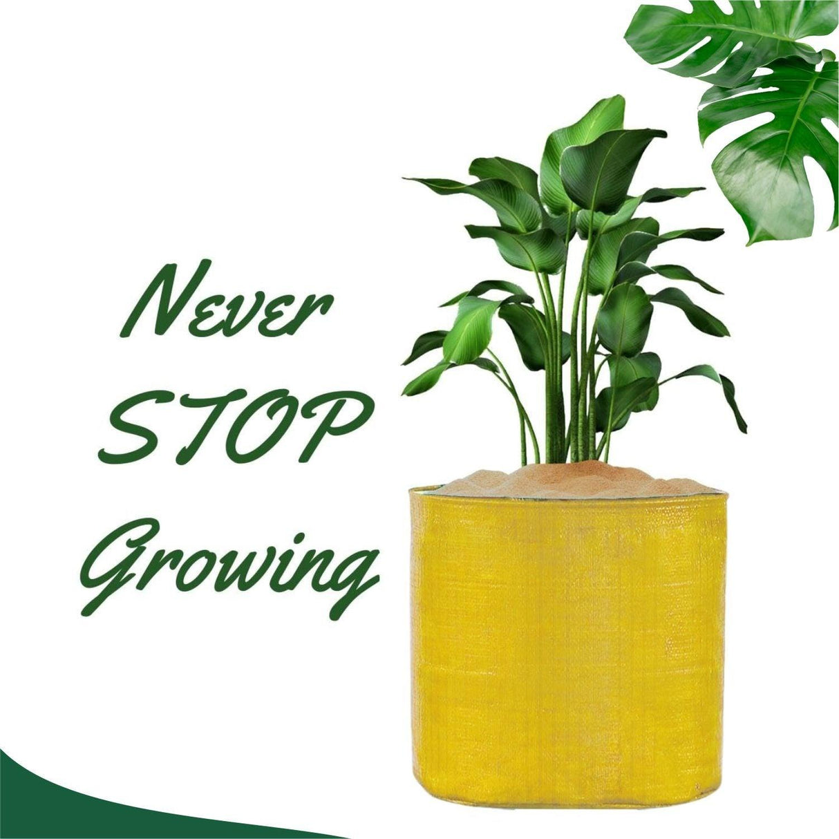 Yellow Grow Bags Size 9x9  to 24x24 Inch - Singhal Mart