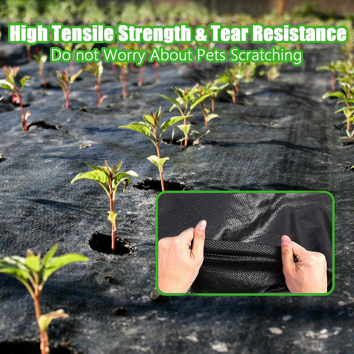 Singhal Premium Black Garden Weed Control Barrier Sheet 0.80 Meter Width (2.62 feet) Heavy-Duty Landscape Fabric, Eco-Friendly, Durable Weed Block Mat for Gardening