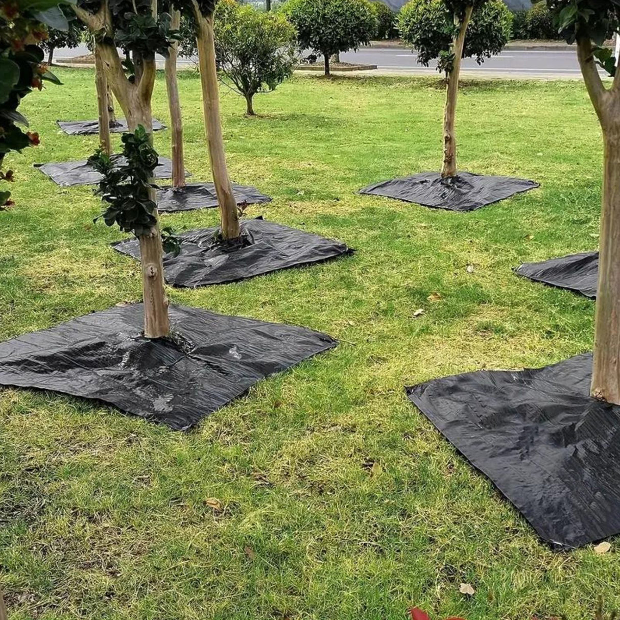 Singhal Premium Black Garden Weed Control Barrier Sheet 0.80 Meter Width (2.62 feet) Heavy-Duty Landscape Fabric, Eco-Friendly, Durable Weed Block Mat for Gardening