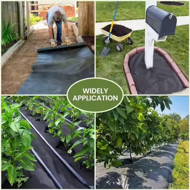 Singhal Premium Black Garden Weed Control Barrier Sheet 0.60 Meter Width (2 feet) Without Green line , Heavy-Duty Landscape Fabric, Eco-Friendly, Durable Weed Block Mat for Gardening